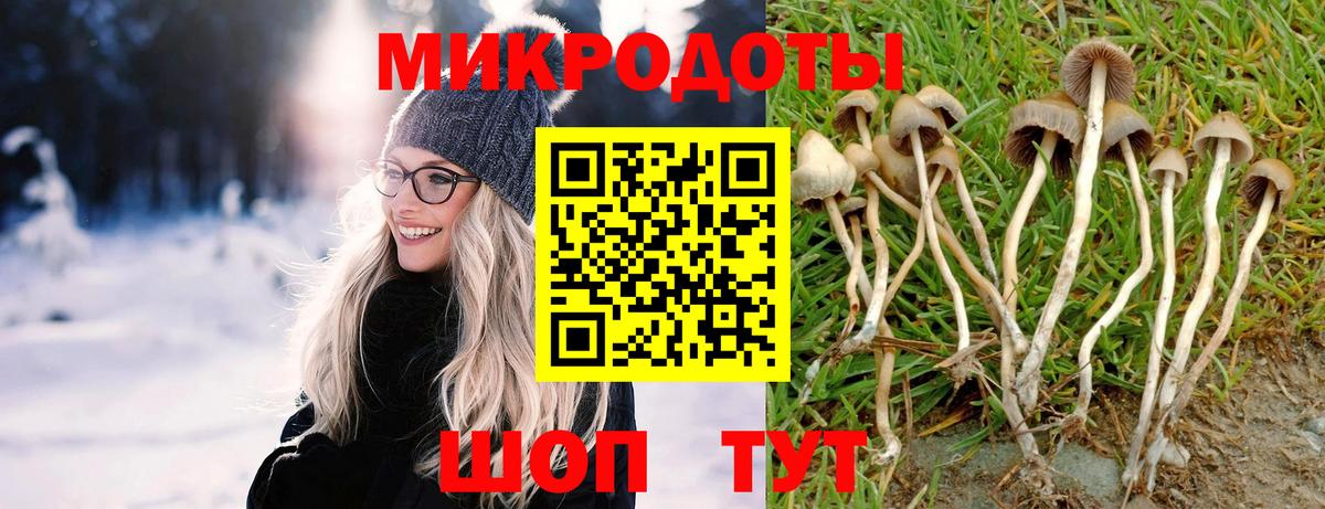 Псилоцибиновые грибы GOLDEN TEACHER  Псилоцибиновые грибы мицелий  Вход с VPN  Белгород 